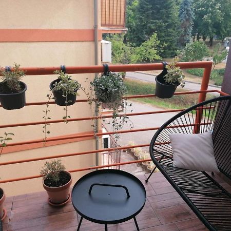 Koko Apartman Vrnjačka Banja Zewnętrze zdjęcie
