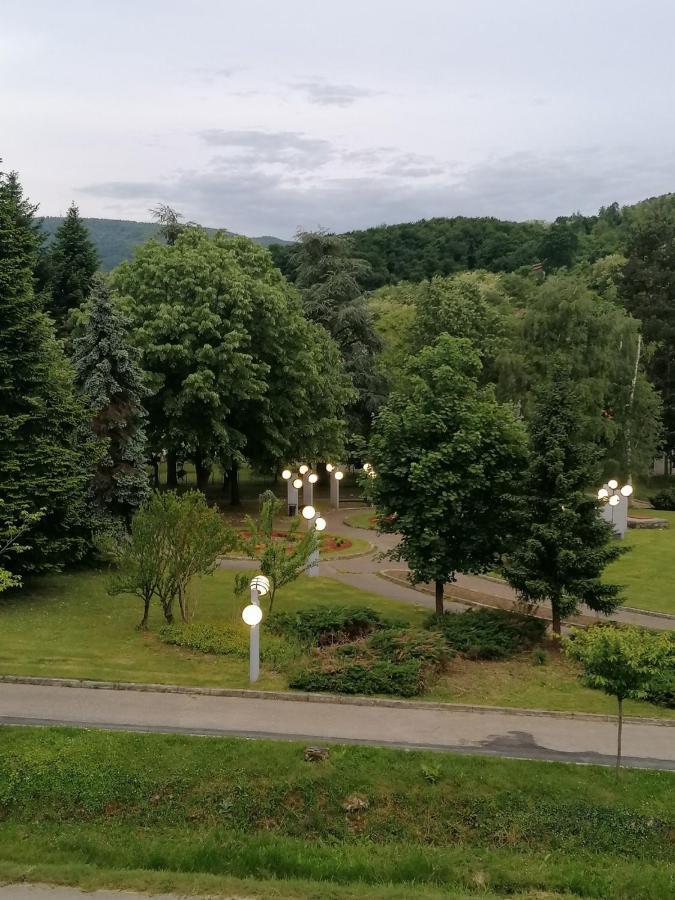 Koko Apartman Vrnjačka Banja Zewnętrze zdjęcie