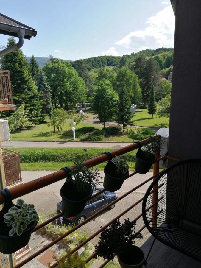 Koko Apartman Vrnjačka Banja Zewnętrze zdjęcie