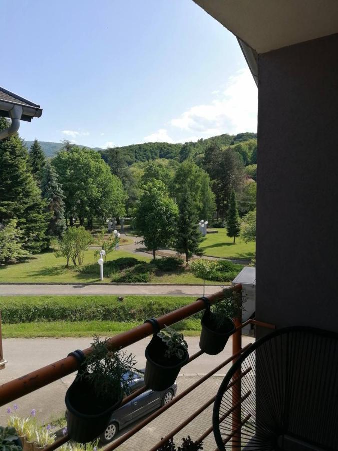 Koko Apartman Vrnjačka Banja Zewnętrze zdjęcie