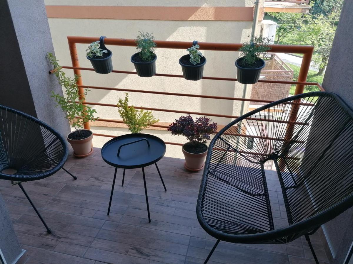 Koko Apartman Vrnjačka Banja Zewnętrze zdjęcie